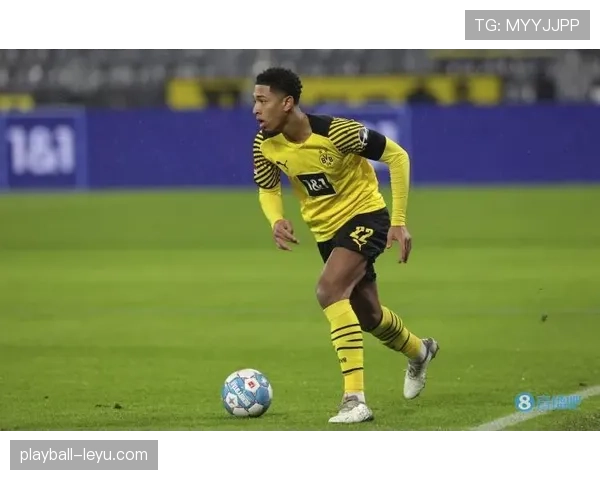 贝林厄姆欧洲杯表现稳健，闪耀赛场彰显未来巨星潜质