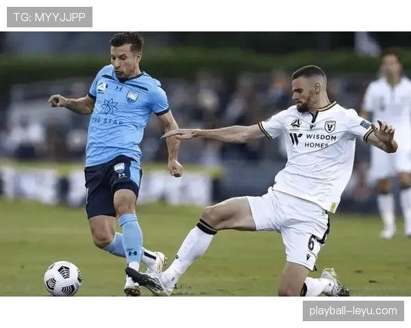 米特罗维奇本赛季助攻能力持续提升,进攻端表现愈发全面 米特罗维奇本赛季助攻能力持续提升,进攻端表现愈发全面